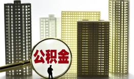 东莞无抵押私人借贷平台-东莞无抵押空放借钱不看资产-东莞无抵押地区身份证贷款